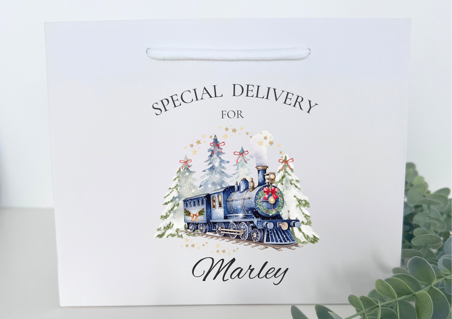 BLUE TRAIN CHRISTMAS GIFT BAG